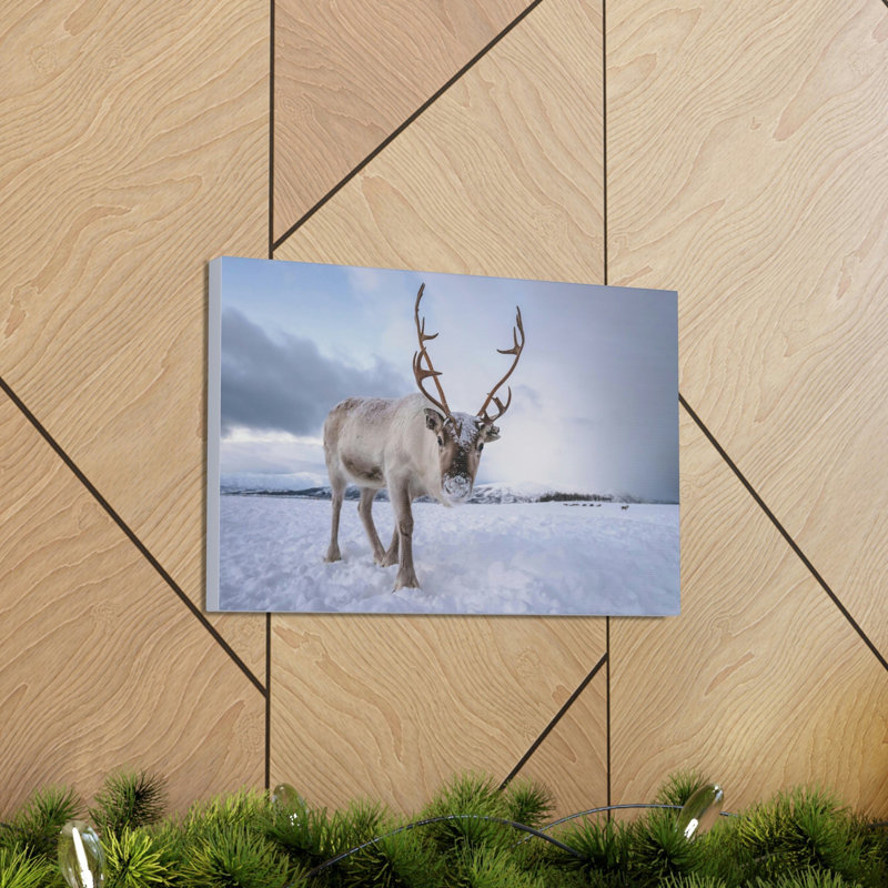 No Frame Print on Canvas, 12cm H x 16cm W