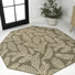 Brown/Beige