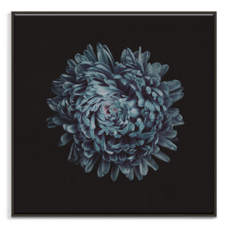 Print on Canvas, Black Floater Frame, 102cm H x 102cm W