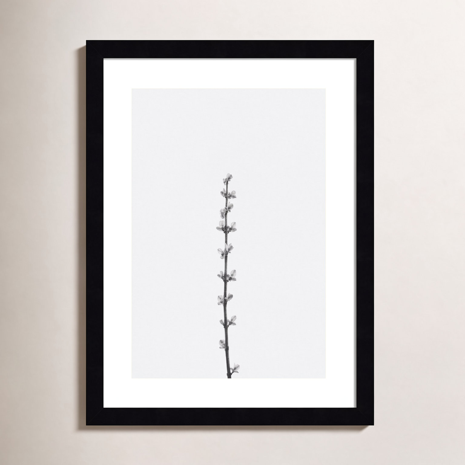 Retro Tennessee Botanical No 1 Photo Print, Black, 17" H x 13" W x 1" D