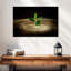 Harnek plante sur souche-115270376