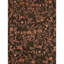 Floral Area Rug-866631527