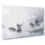 Wolves And Stag - Wrapped Canvas Print-61881168