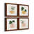 Burgundy Framed selected