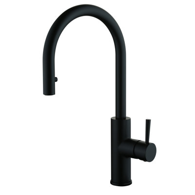 CMI Casmir Pull Down Kitchen Faucet