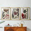 Coral & Seaweed Montage I - Impression sur mesure encadrée de qualité supérieure - 3 pièces-1156827206-1156827200