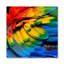 Rainbow Feathers Two Print-61182682-61182684