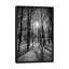 Reproduction d’art sur toile tendue scenic forest crêtes-290328366-361533538-290328369