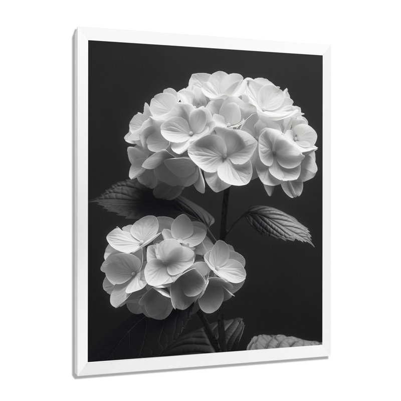 Décoration botanique monochrome hortensia I - hydrangées murales, H 12 po x l 20 po, Cadre simple blanc