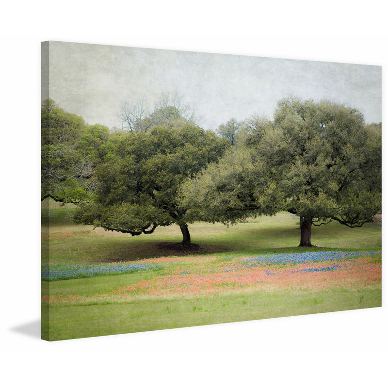 Wrapped Canvas Print, 30cm H x 45cm W
