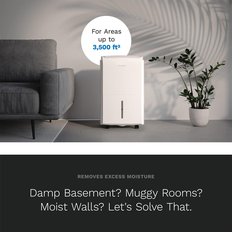 hOmeLabs 3,500 Sq. Ft. White Energy Star Dehumidifier with Pump