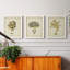 Écru corail X - ensemble de 3 peintures sur toile encadrées-143796225-143796230