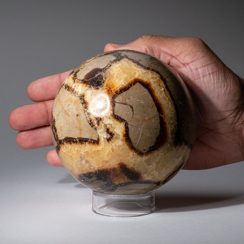 Genuine Polished Septarian (2") Sphere from Madagascar, 3.5" H x 3.5" W x 3.5" D, Brown/Gray/White