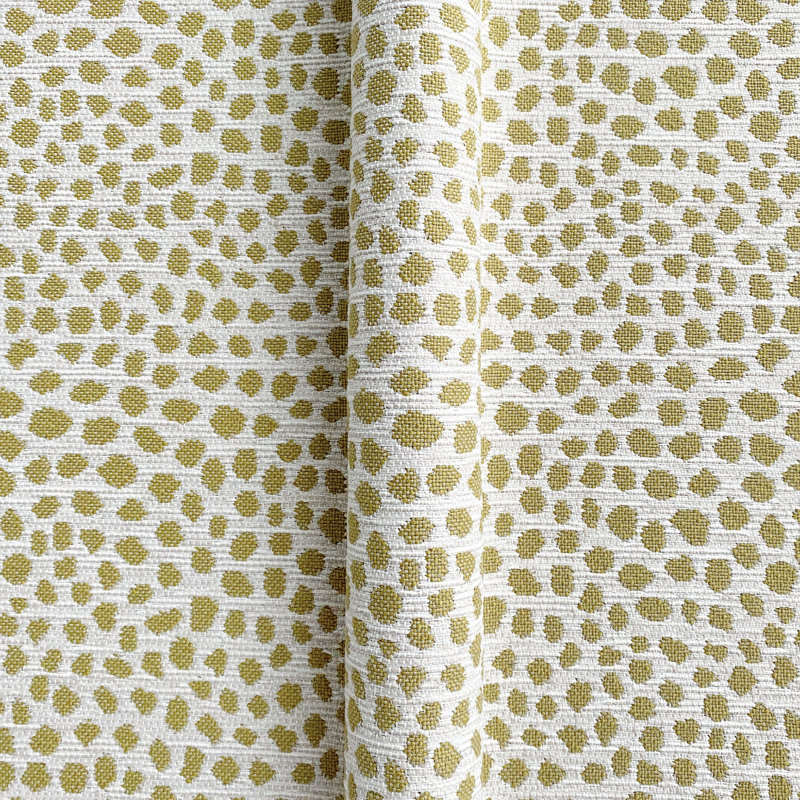 Fibi Goldenrod Rr
