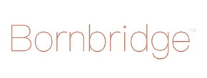 Bornbridge Logo