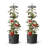 Bawan Planter - Self-watering Tomato Climber Pot with Trellis-516761784-516761781