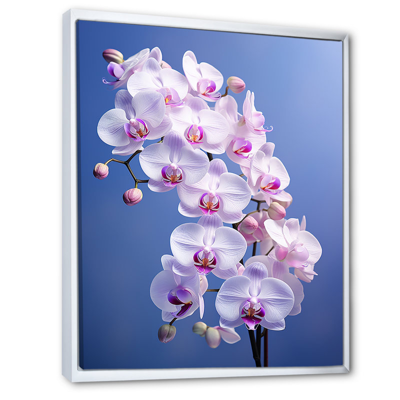 Orchidées mauves élégantes I - imprimé, H 20 po x l 12 po x P 1 po, Cadre flottant blanc