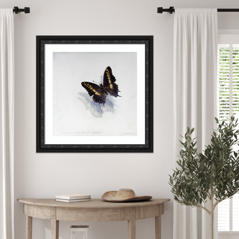 «Giant Emperor Butterfly» par Odile Kidd, impression sur bois encadrée, 28 x 28