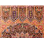 Persian Silk Oriental Area Rug