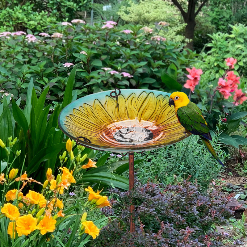 Bain d'oiseaux Kashara