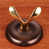 Oil Rubbed Bronze / Brass selected