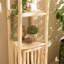 Cafferkey 46cm W Solid Wood Shelving Unit