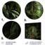 Jungle Plants Whispers Collage 2 - art mural en métal Jungle-1165016263
