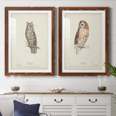 Scops - Earl Owl Premium encadré mat - prêt à être accroché