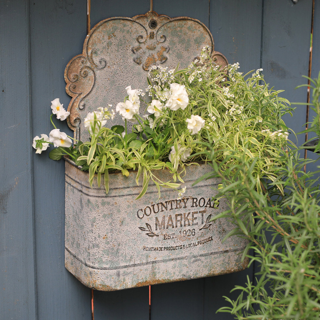 Romsey Vintage Metal Wall Planter for Outdoor/Indoor Plants  East Urban Home 