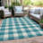 Colzie Flatweave Gingham Indoor / Outdoor Rug-109584057