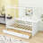 Aeriona Canopy Daybed with 2 Drawers-917037005