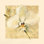 «Exotic Floral III Crop» par Cheri Blum - reproduction