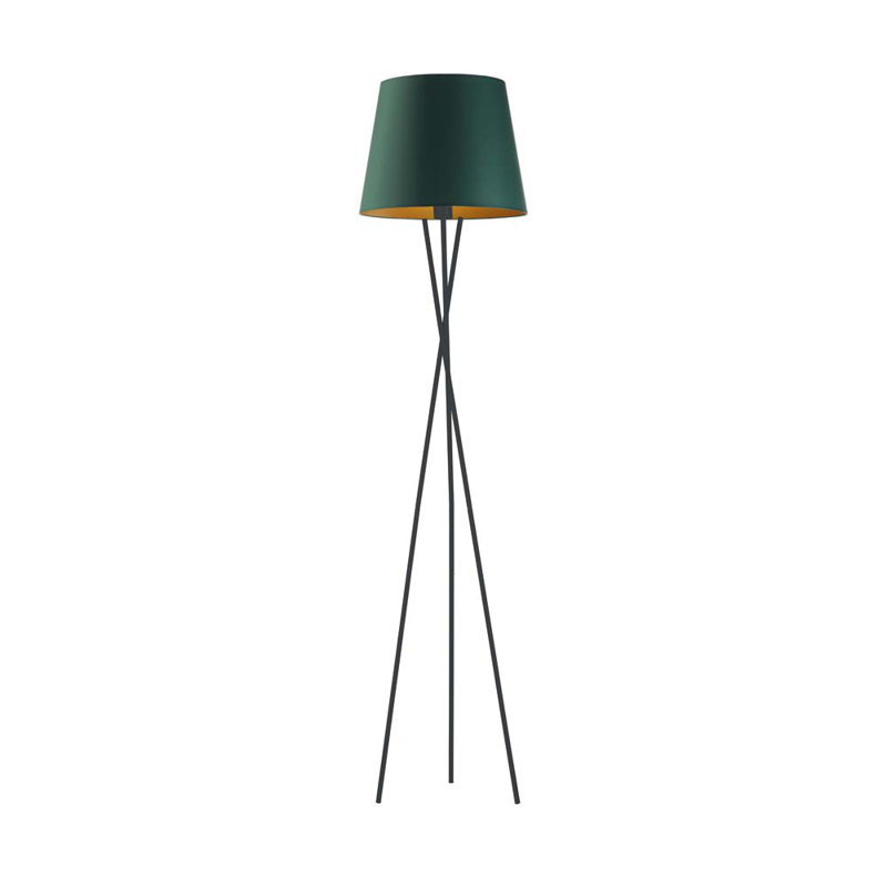 Shullsburg 165cm Tripod Floor Lamp, Black, Green