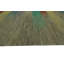 Tapis brun en laine noué à la main de conception unique 8 pi 9 po x 11 pi 11 po Janasha