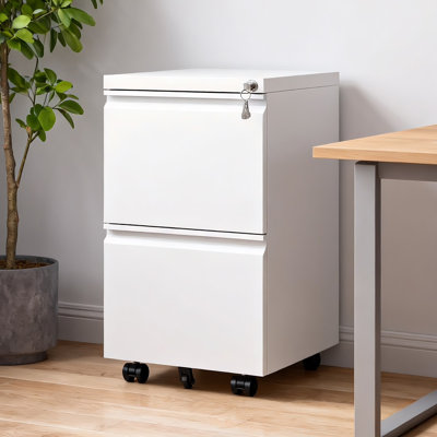 Classeur vertical mobile à 2 tiroirs avec serrure et verrouillage, blanc