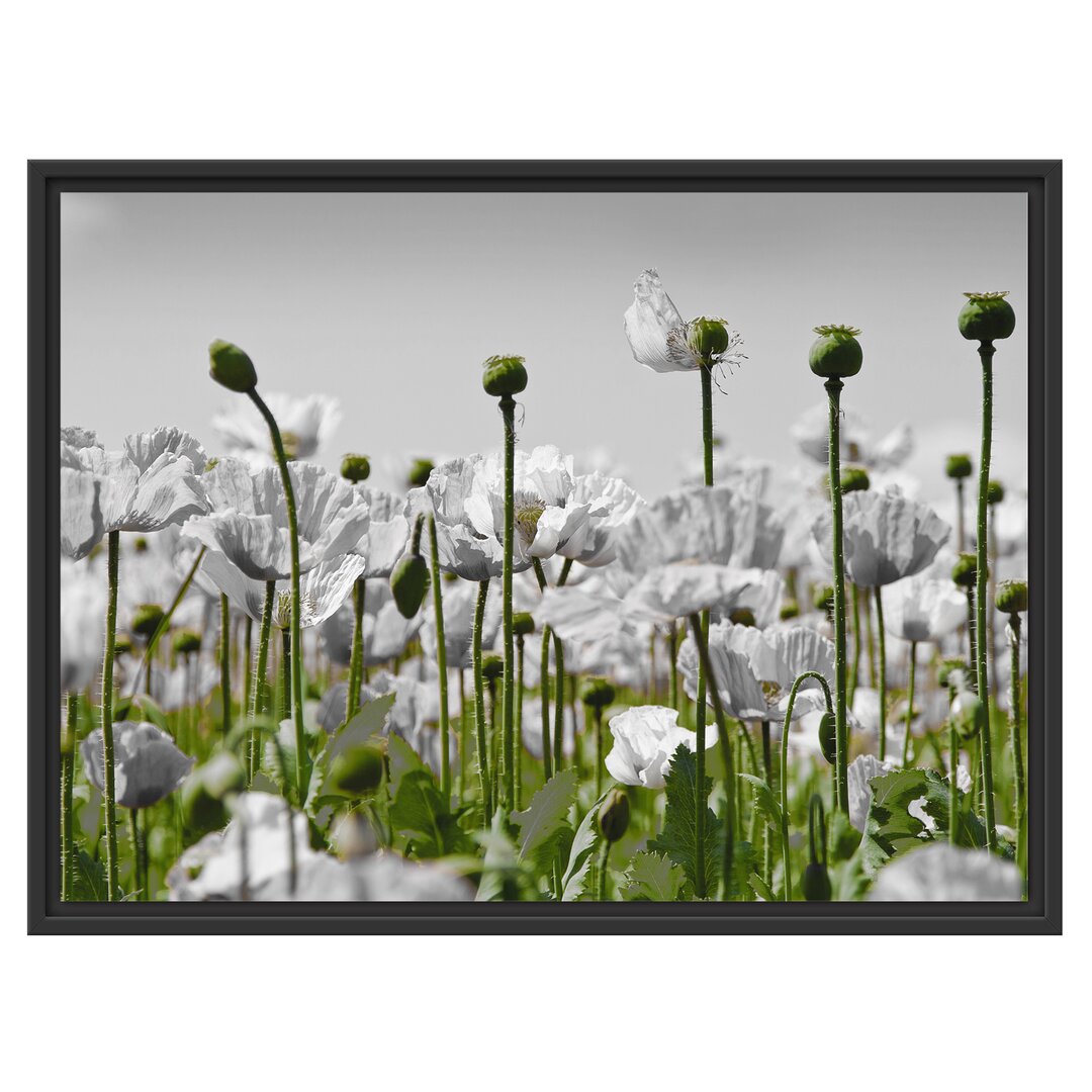 Gerahmtes Wandbild Blumenwiese Mohnblumen