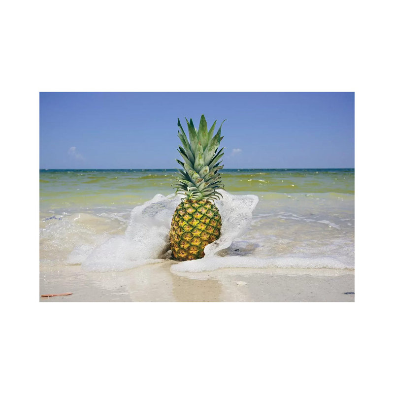 South Florida Pineapple IV by Adam Mead - Wrapped Canvas Print, 20.32 cm H x 30.48 cm W