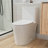1.1/1.6 GPF Dual-Flush Elongated One-Piece Skirted Toilet (Seat Included)-89181559-121283081