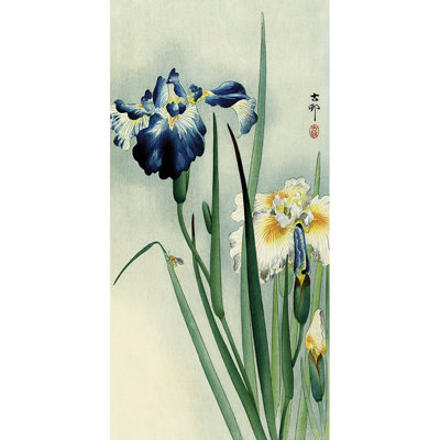 Irises - Wrapped Canvas Print