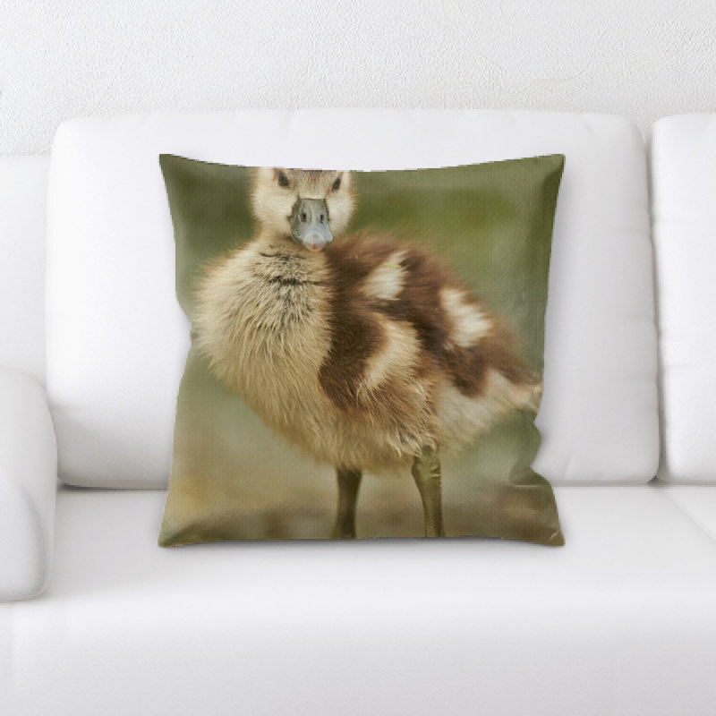 Coussin d’oie