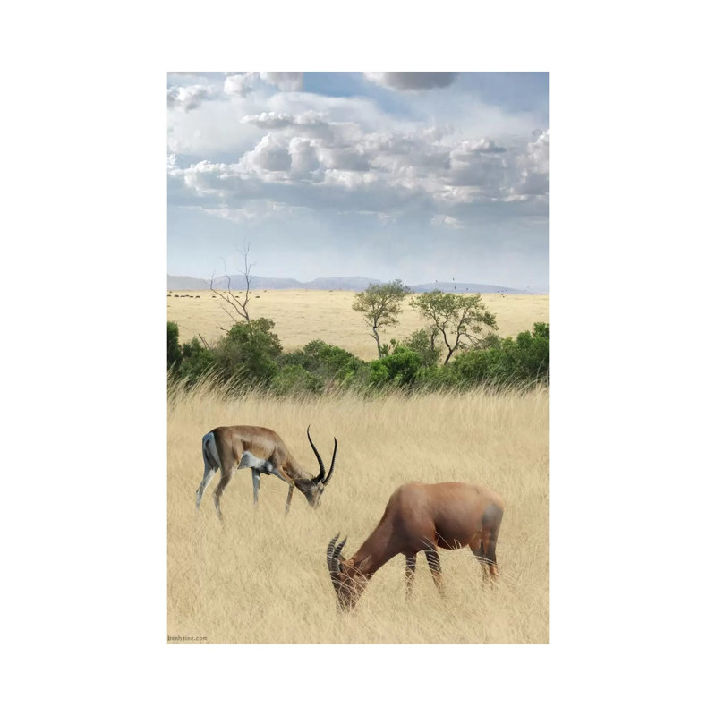 Kenya #2 by Ben Heine - Print on Canvas, 66.04 cm H x 45.72 cm W x 1.91 cm D, Wrapped Canvas