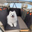 Polyester Pet Bed-947495499