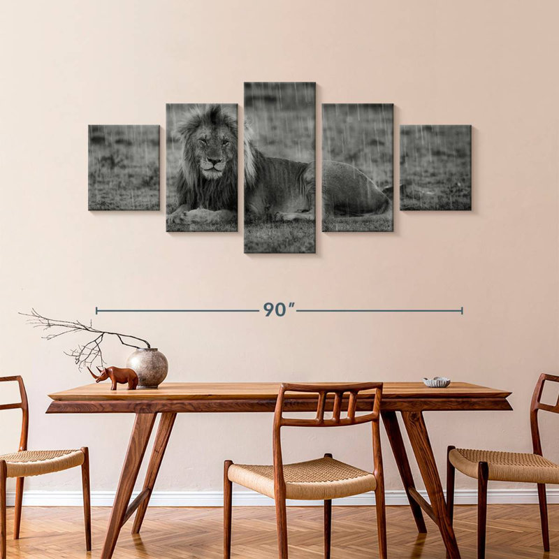 Lion safari monochrome