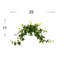 Jenner 11'' Faux Ivy Plant in Glass Vase