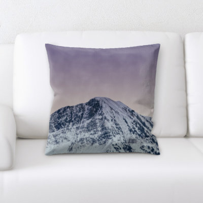 Microsuede Reversible Throw Pillow