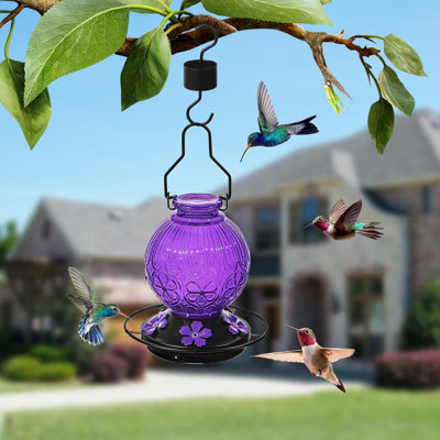 Feeders for Outdoors Hanging 23Oz Humming Bird Nectar Feeders with Perch