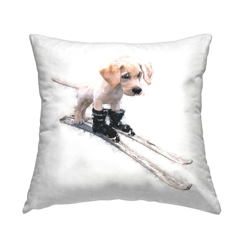Throw Pillow