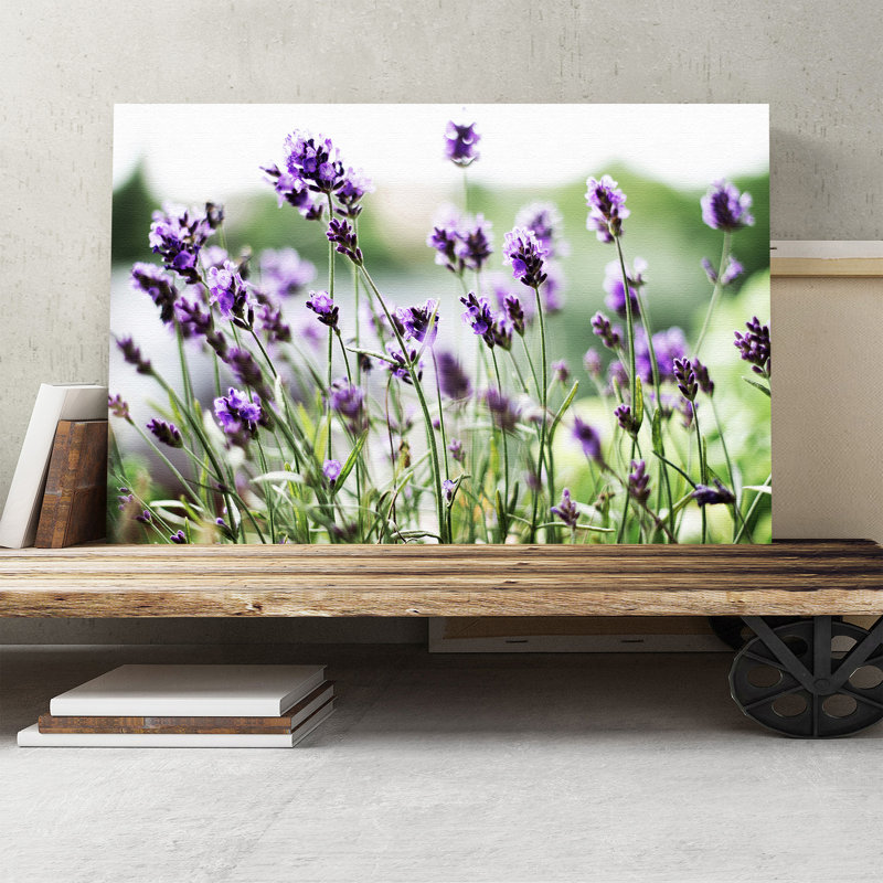 Purple Lavender Photographic - Wrapped Canvas, 40cm H x 60cm W