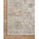 Kriebel Oriental Indoor Rug