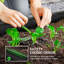 Metal Planter Box-1155412534